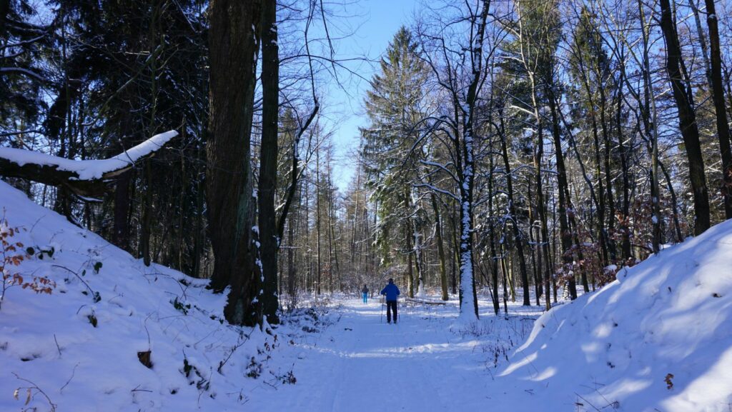 winter sports school