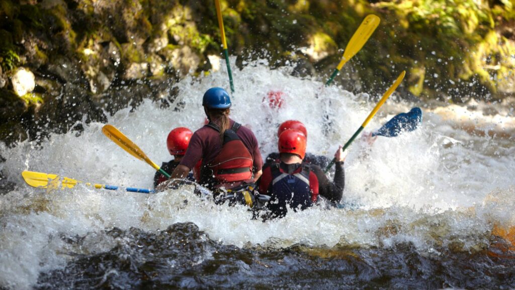 aloha water sports